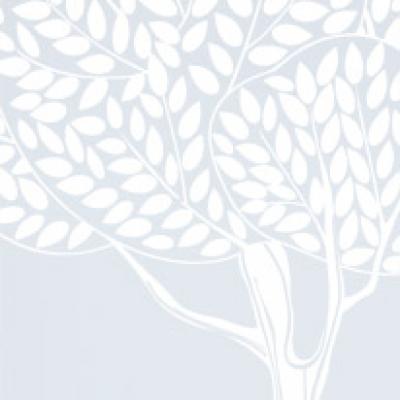 Grandalbero